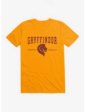 Harry Potter Gryffindor Quidditch Symbol T-Shirt, , hi-res
