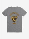 Harry Potter Hogwarts Hufflepuff Alumni T-Shirt, , hi-res