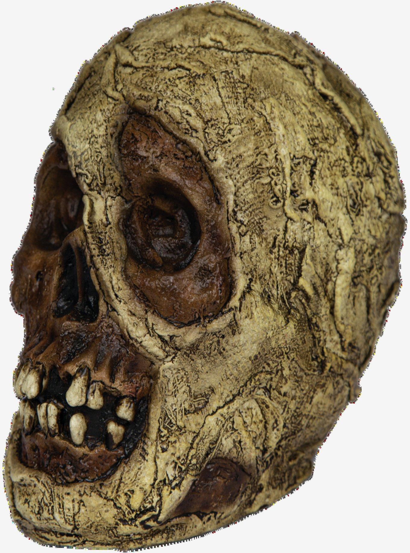 Decorative Mummy Skull, , hi-res