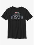 Marvel Black Panther Wakanda Forever Metal Logo Youth T-Shirt, BLACK, hi-res