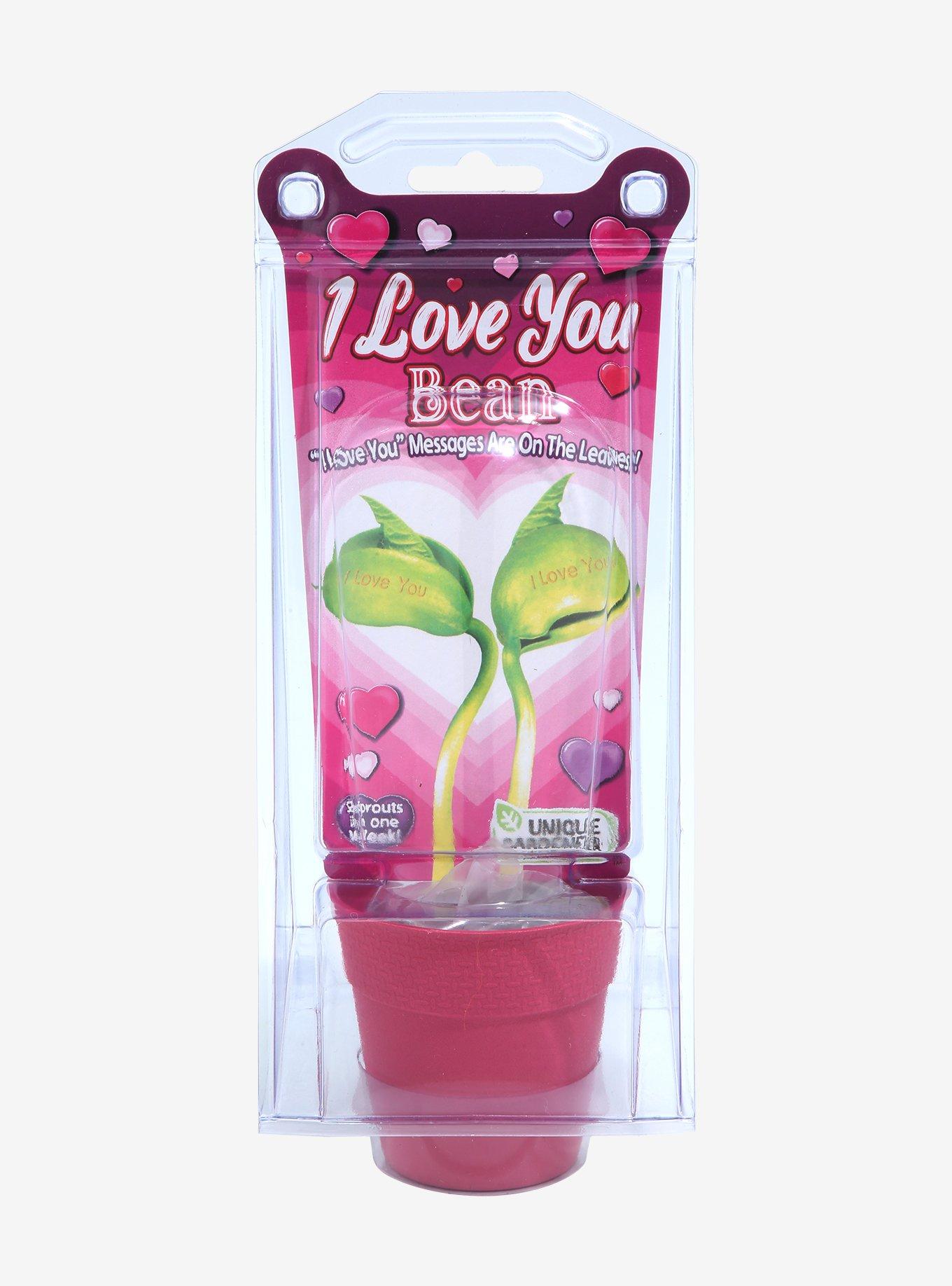 I Love You Bean, , hi-res