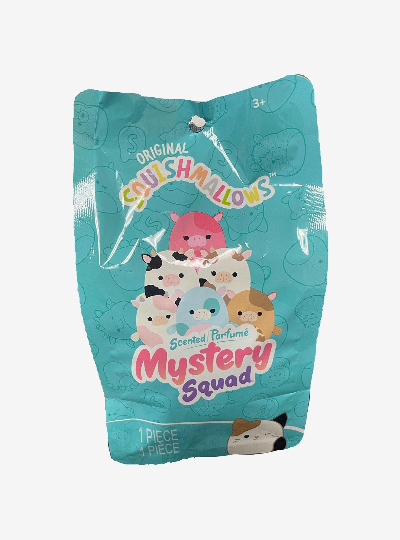  Squishmallow Mystery Squad Blind Bag with 5 Figure - Bundle  with Squishmallow Mystery Bag with Plushie Plus Stickers, More