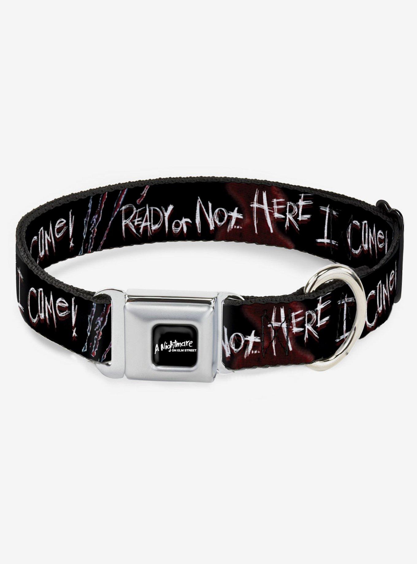 A Nightmare on Elm Street "Ready or Not... Here I Come" Seatbelt Buckle Dog Collar, BLACK, hi-res