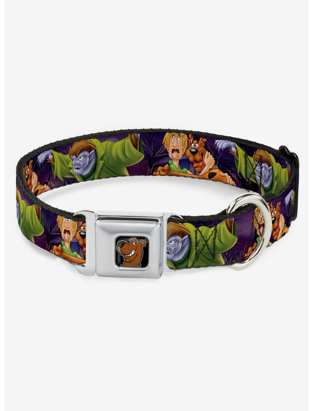 Scooby-Doo! Shaggy Hugging Werewolf Man Seatbelt Buckle Dog Collar, PURPLE, hi-res