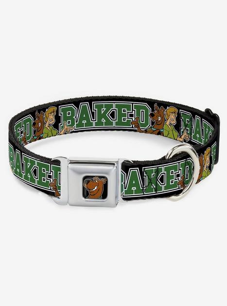 Scooby Doo Dog Tag Full Color Seatbelt Buckle Collar - SCOOBY-DOO Script/SD Icon Stripe Yellow/Orange/Red/Brown - Perfect Fit Cat Collars For Active Kitties Who Love Adventure