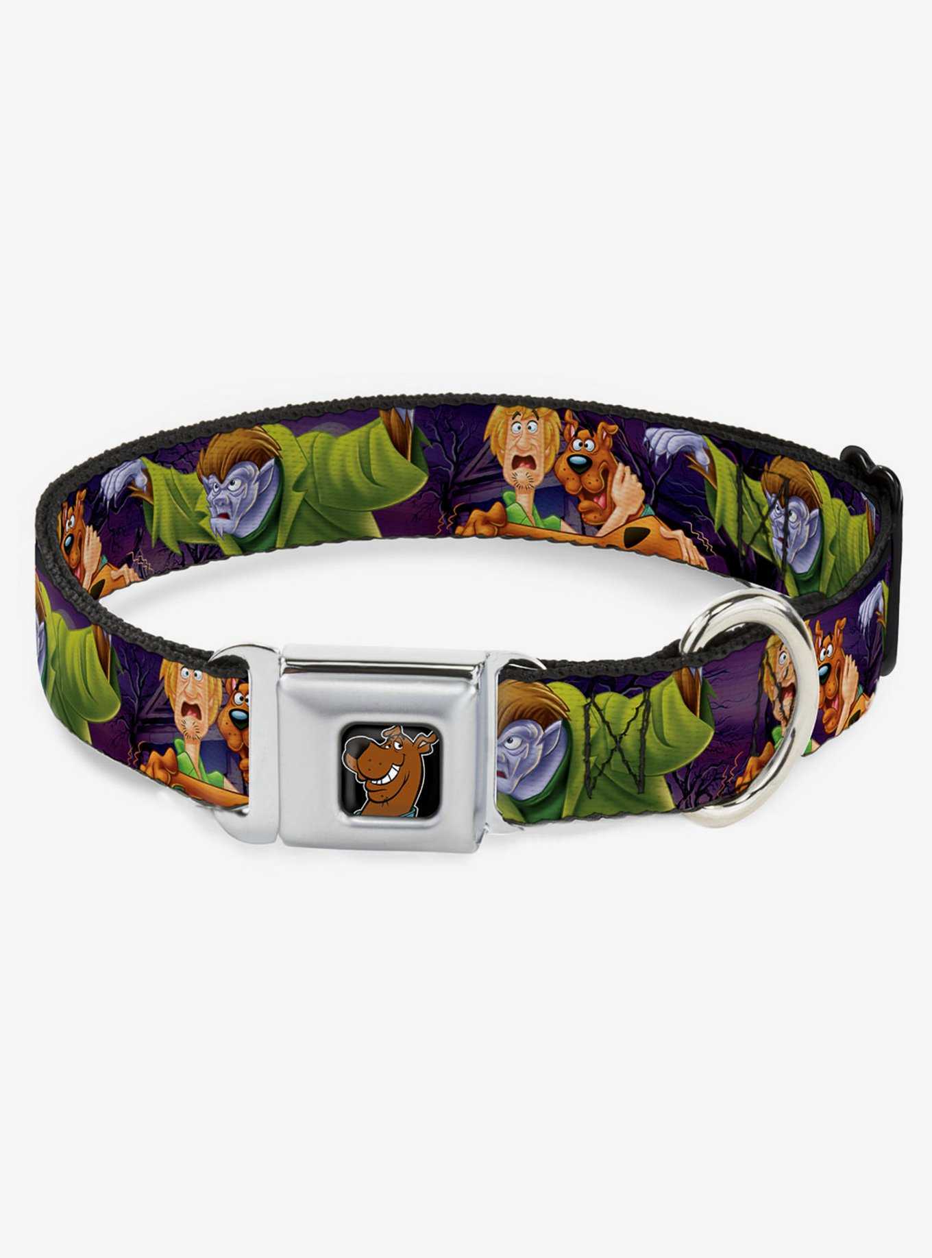 Scooby-Doo! Shaggy Hugging Werewolf Man Seatbelt Buckle Dog Collar, , hi-res