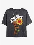 Marvel Guardians of the Galaxy Mine Groot Mineral Wash Crop Girls T-Shirt, BLACK, hi-res