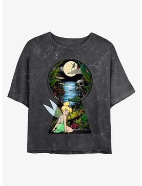 Plus Size Disney Tinker Bell Keyhole To Neverland Mineral Wash Girls Crop T-Shirt, , hi-res