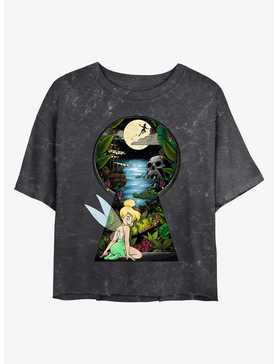 Disney Tinker Bell Keyhole To Neverland Mineral Wash Girls Crop T-Shirt, , hi-res