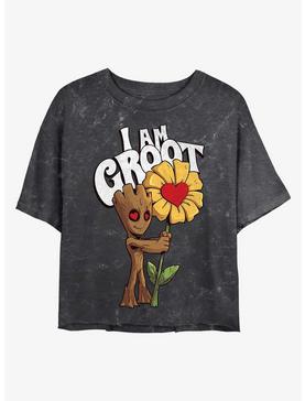 Marvel Guardians of the Galaxy Mine Groot Mineral Wash Crop Womens T-Shirt, , hi-res