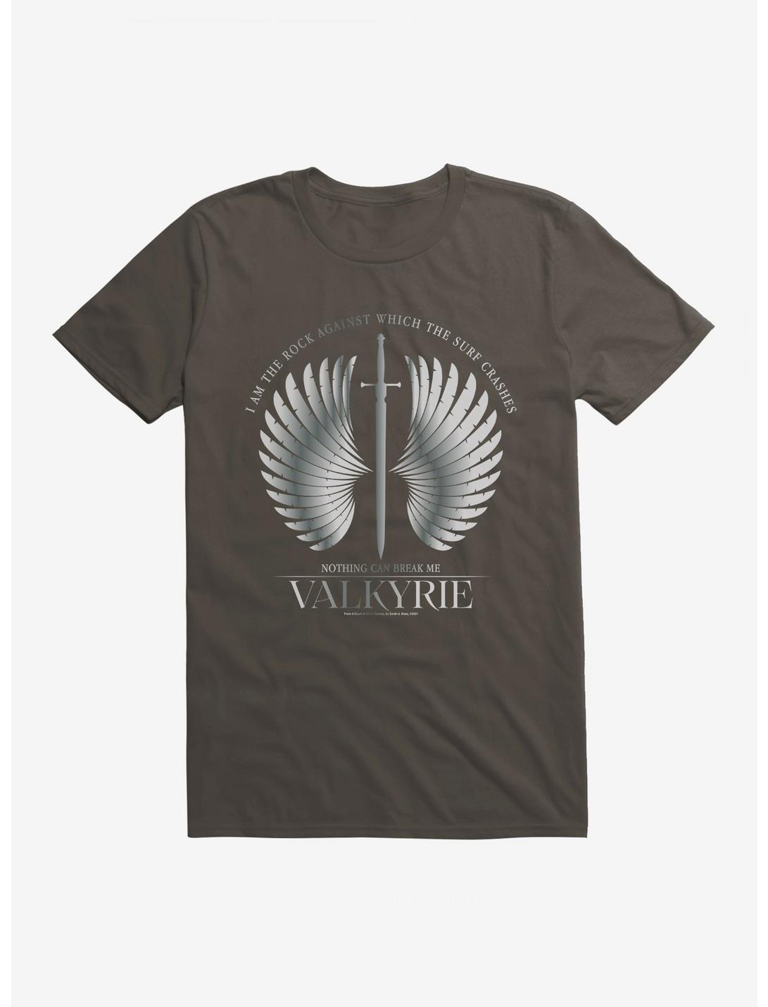 A Court Of Silver Flames Valkyrie Wings T-Shirt, , hi-res