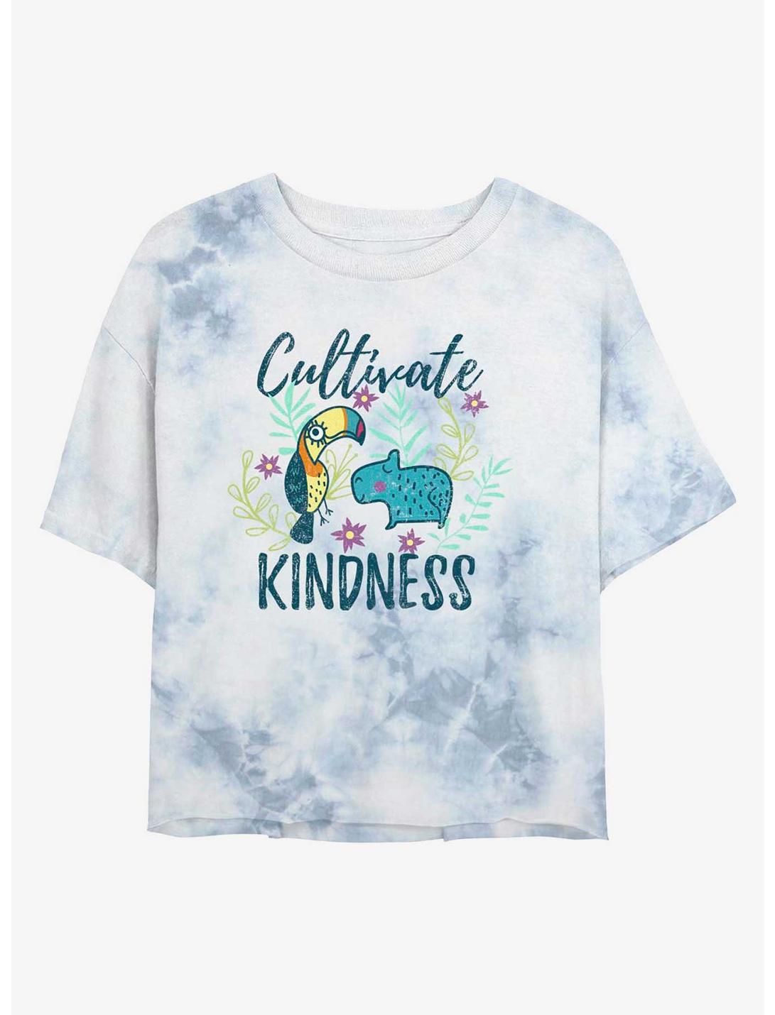 Disney Encanto Cultivate Kindness Tie-Dye Womens Crop T-Shirt, WHITEBLUE, hi-res