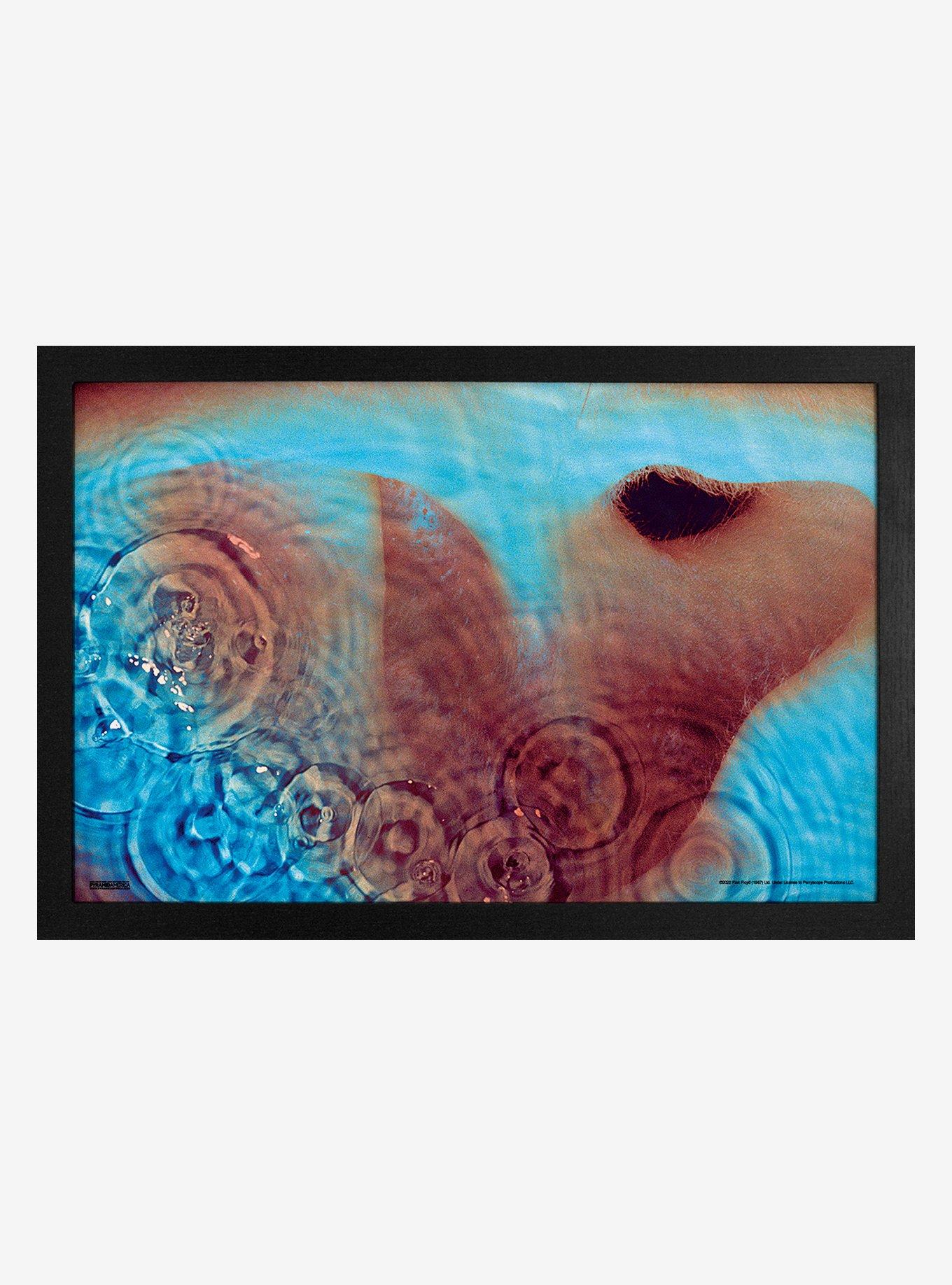 Pink Floyd Meddle Framed Wood Wall Art, , hi-res