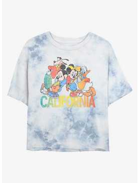 Disney Mickey Mouse California Group Womens Tie-Dye Crop T-Shirt, , hi-res