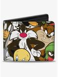 Looney Tunes 6 Character Stacked Collage Bifold Wallet, , hi-res