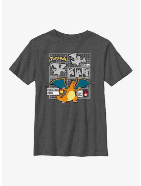 Plus Size Pokemon Charizard Infographic Youth T-Shirt, , hi-res