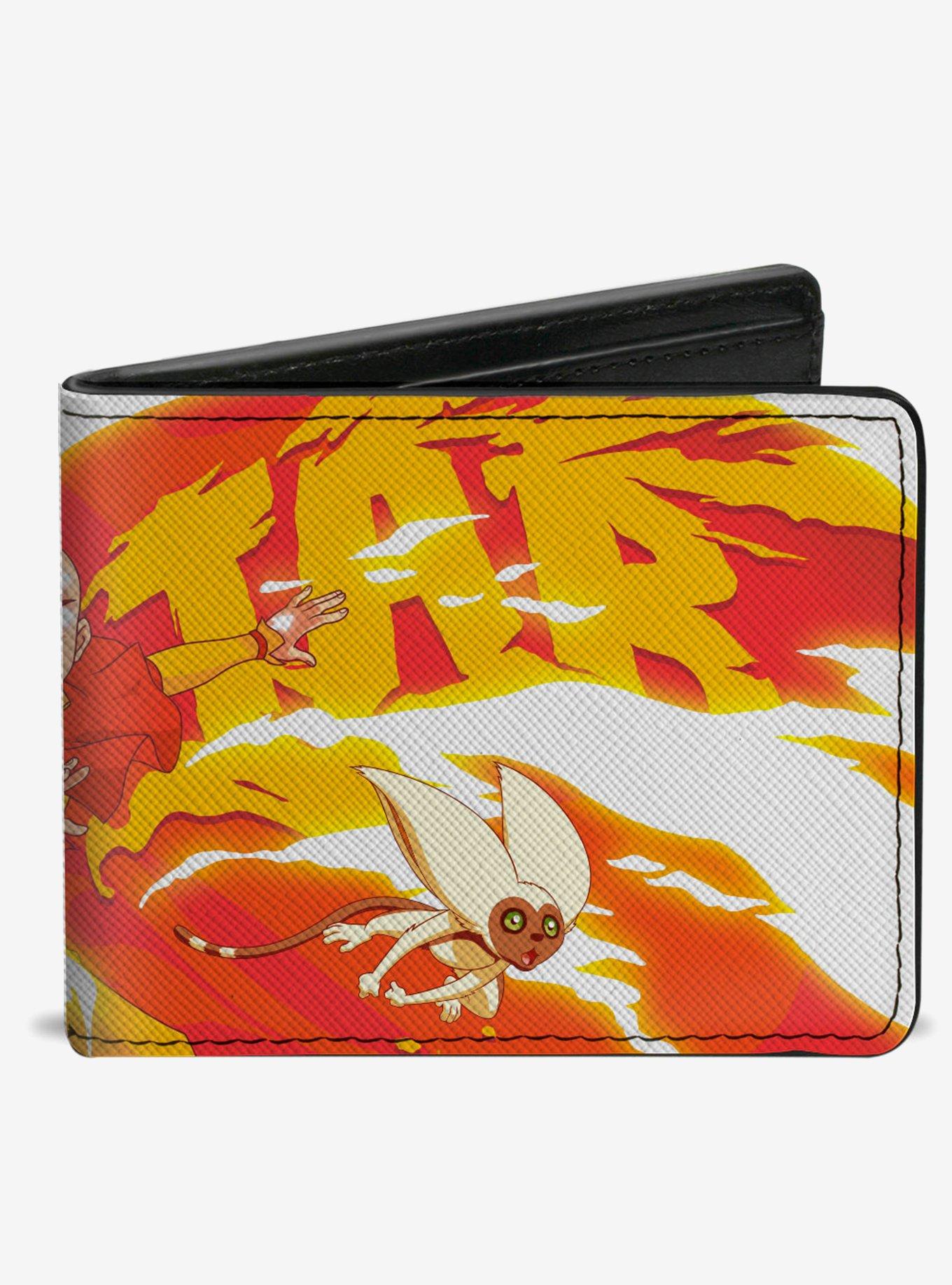 Avatar: The Last Airbender Aang And Momo Bifold Wallet, , hi-res