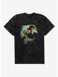 Harry Potter and the Chamber of Secrets Movie Poster Mineral Wash T-Shirt, BLACK MINERAL WASH, hi-res