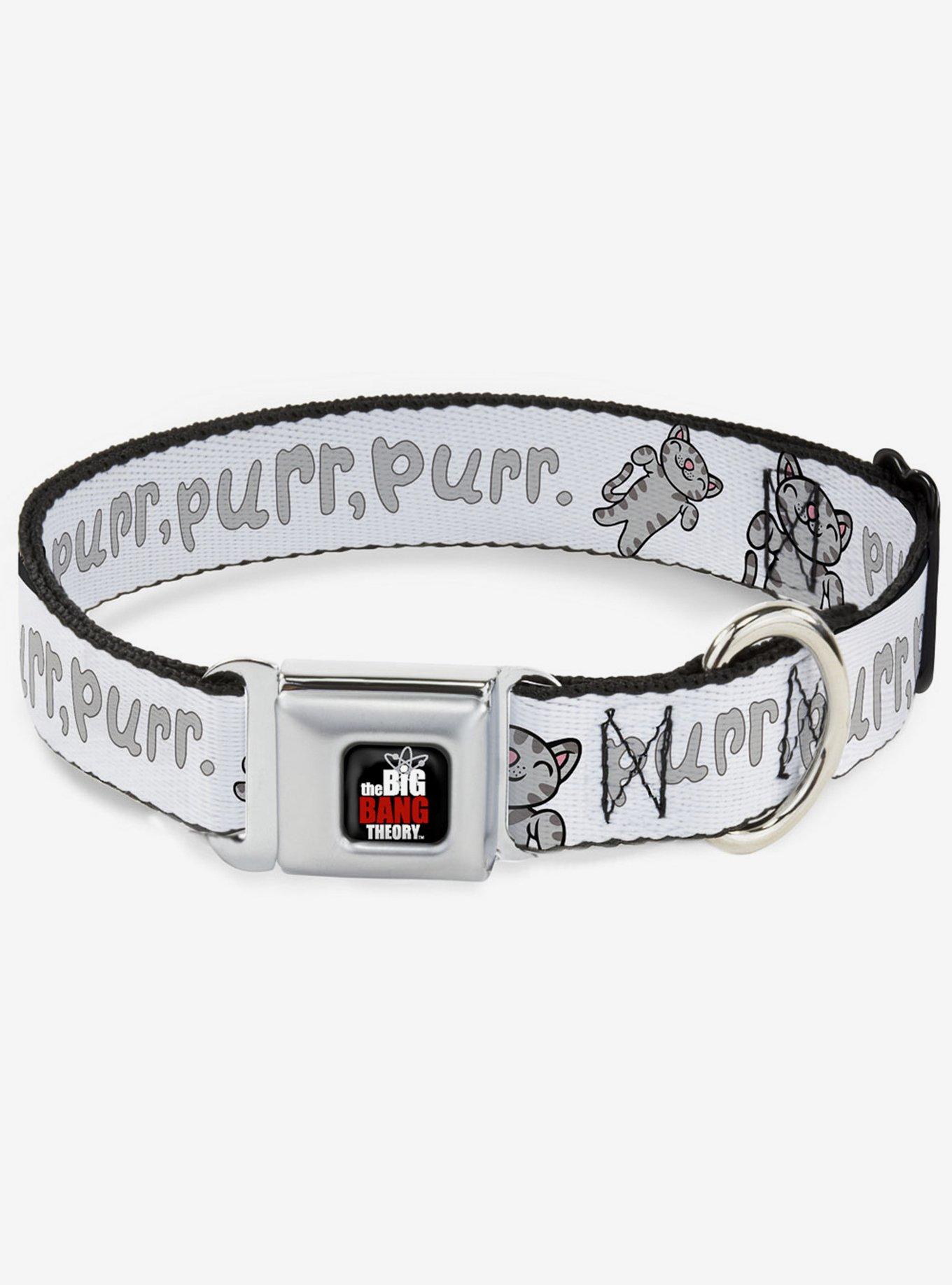 The Big Bang Theory Soft Kitty Purr Purr Purr Seatbelt Buckle Dog Collar, MULTICOLOR, hi-res