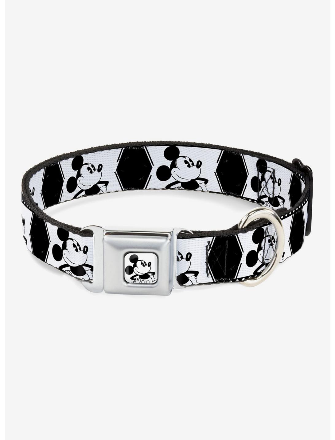 Disney Mickey Mouse Standing Pose Seatbelt Buckle Dog Collar, MULTICOLOR, hi-res
