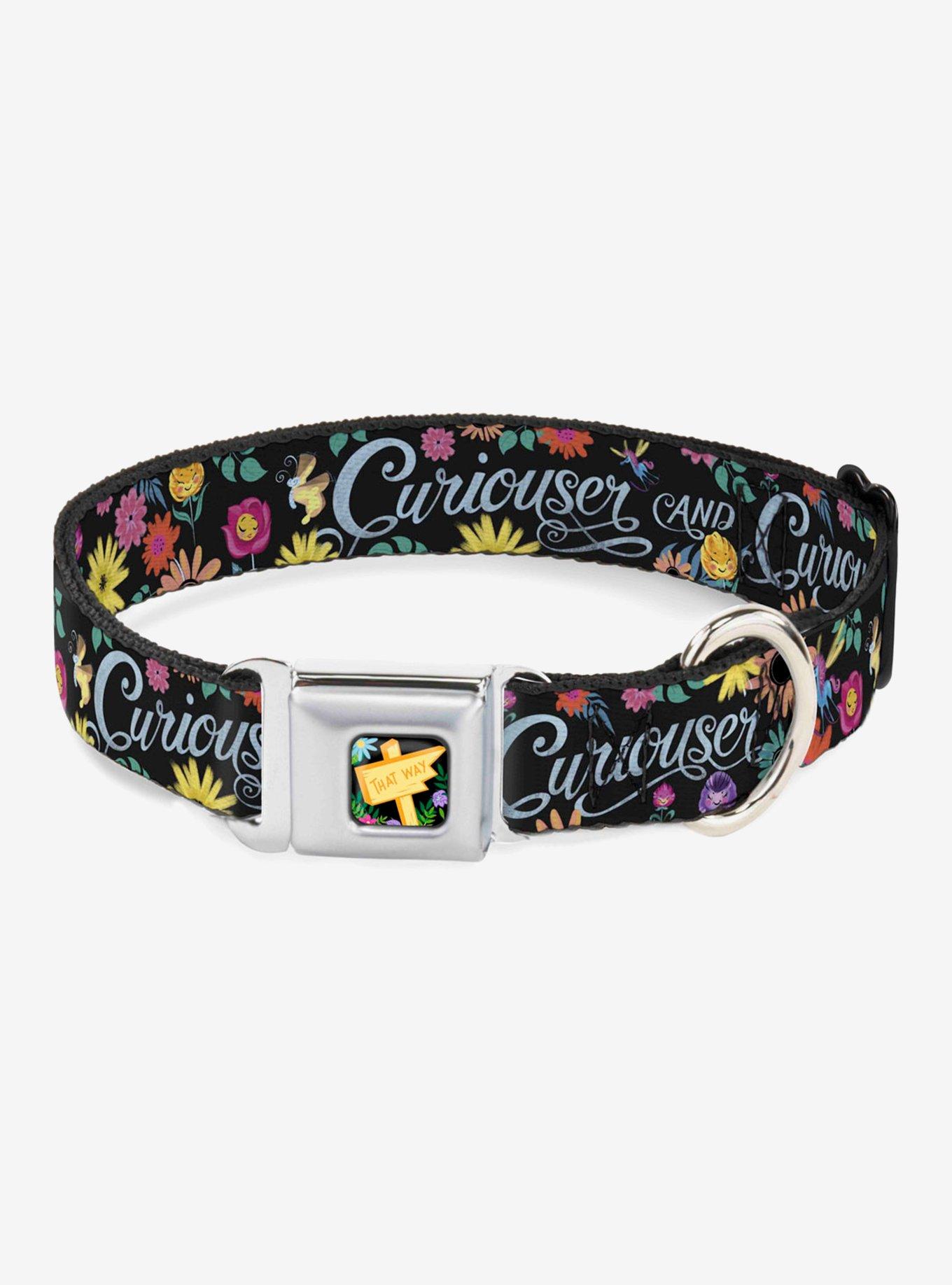 Disney Alice In Wonderland Curiouser And Curiouser Flowers Of Wonderland Seatbelt Buckle Dog Collar, , hi-res