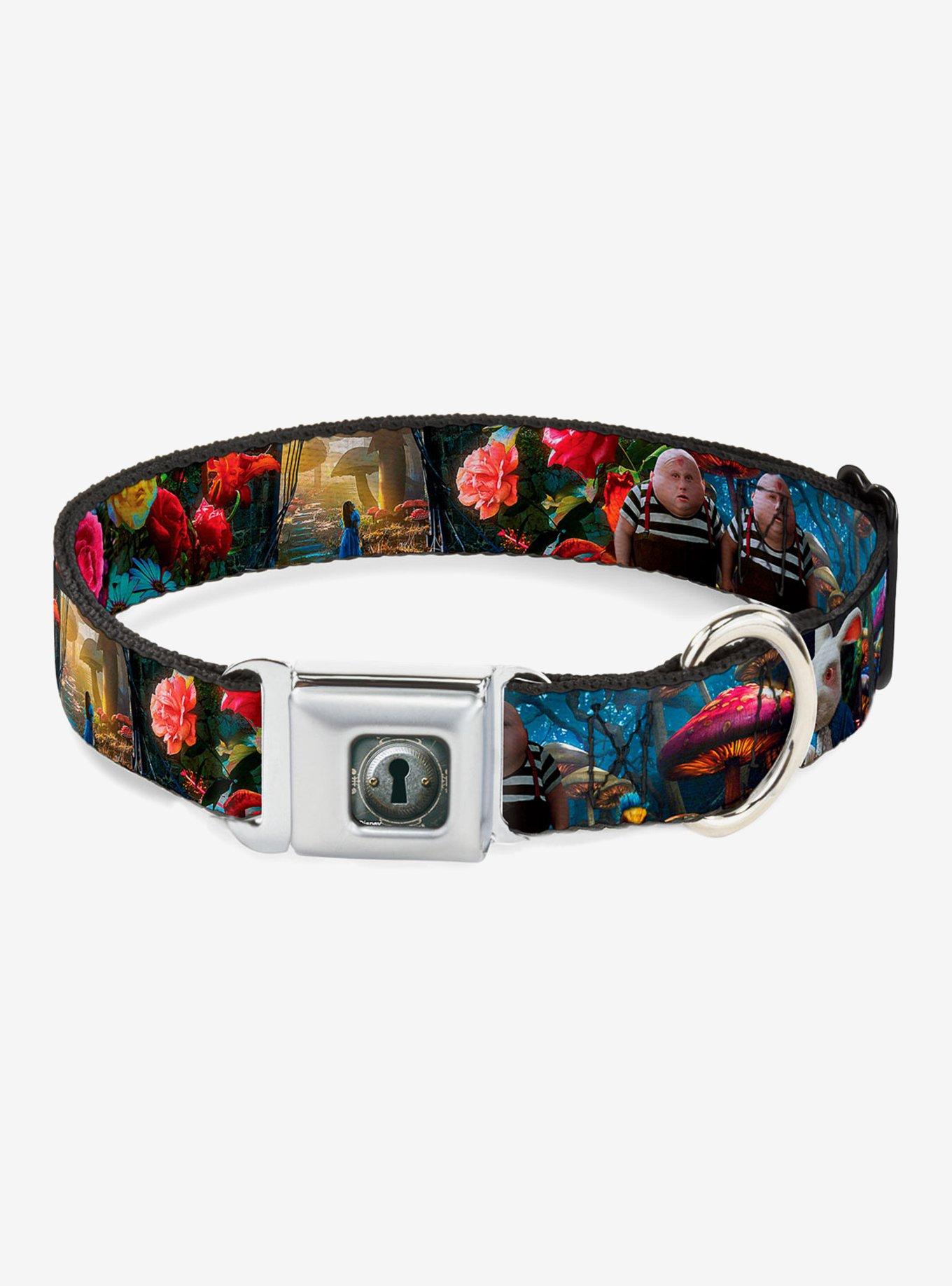 Disney Alice In Wonderland Movie Encounters Seatbelt Buckle Dog Collar, , hi-res