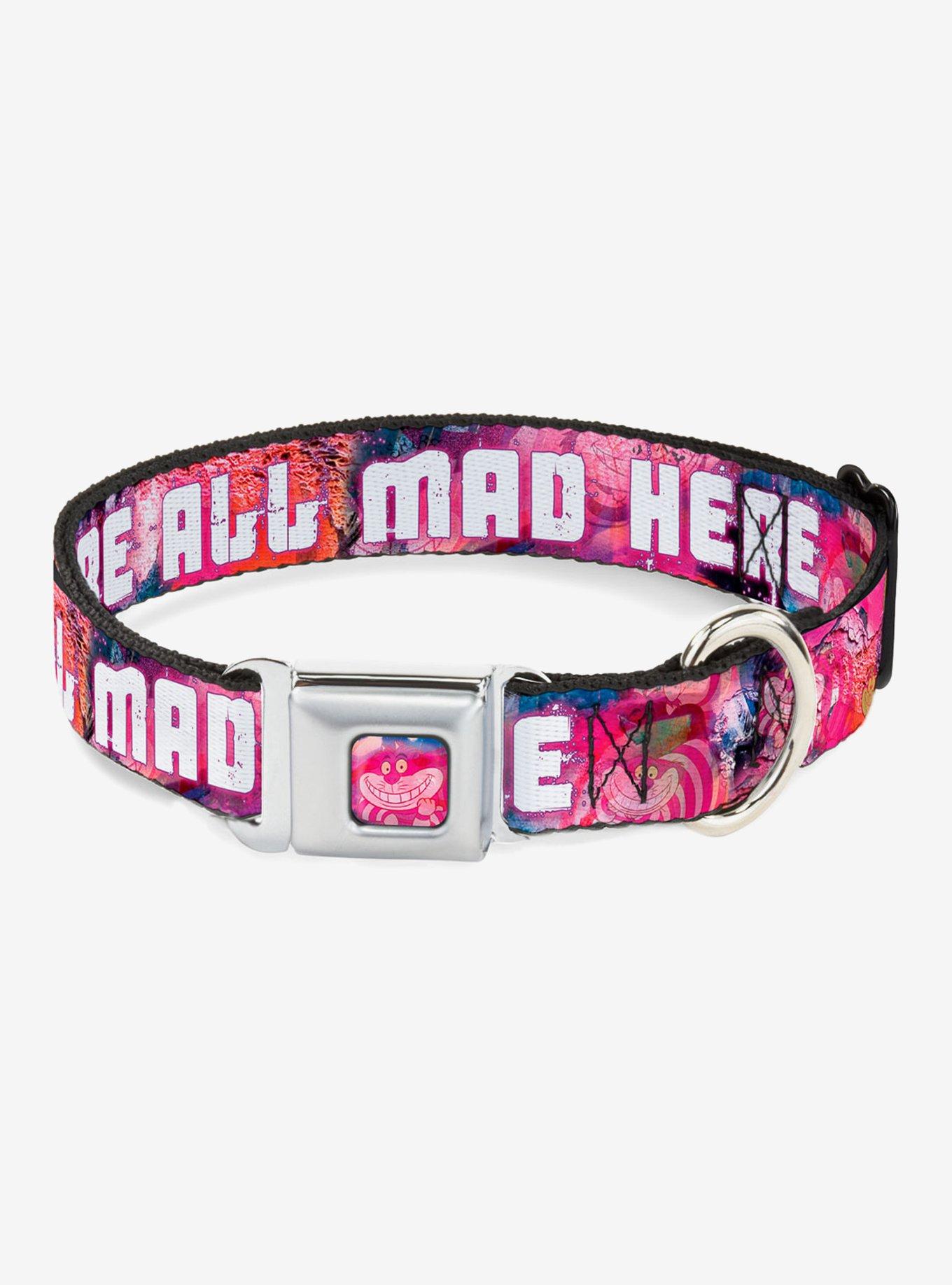 Disney Alice In Wonderland Were All Mad Here Seatbelt Buckle Dog Collar, MULTICOLOR, hi-res