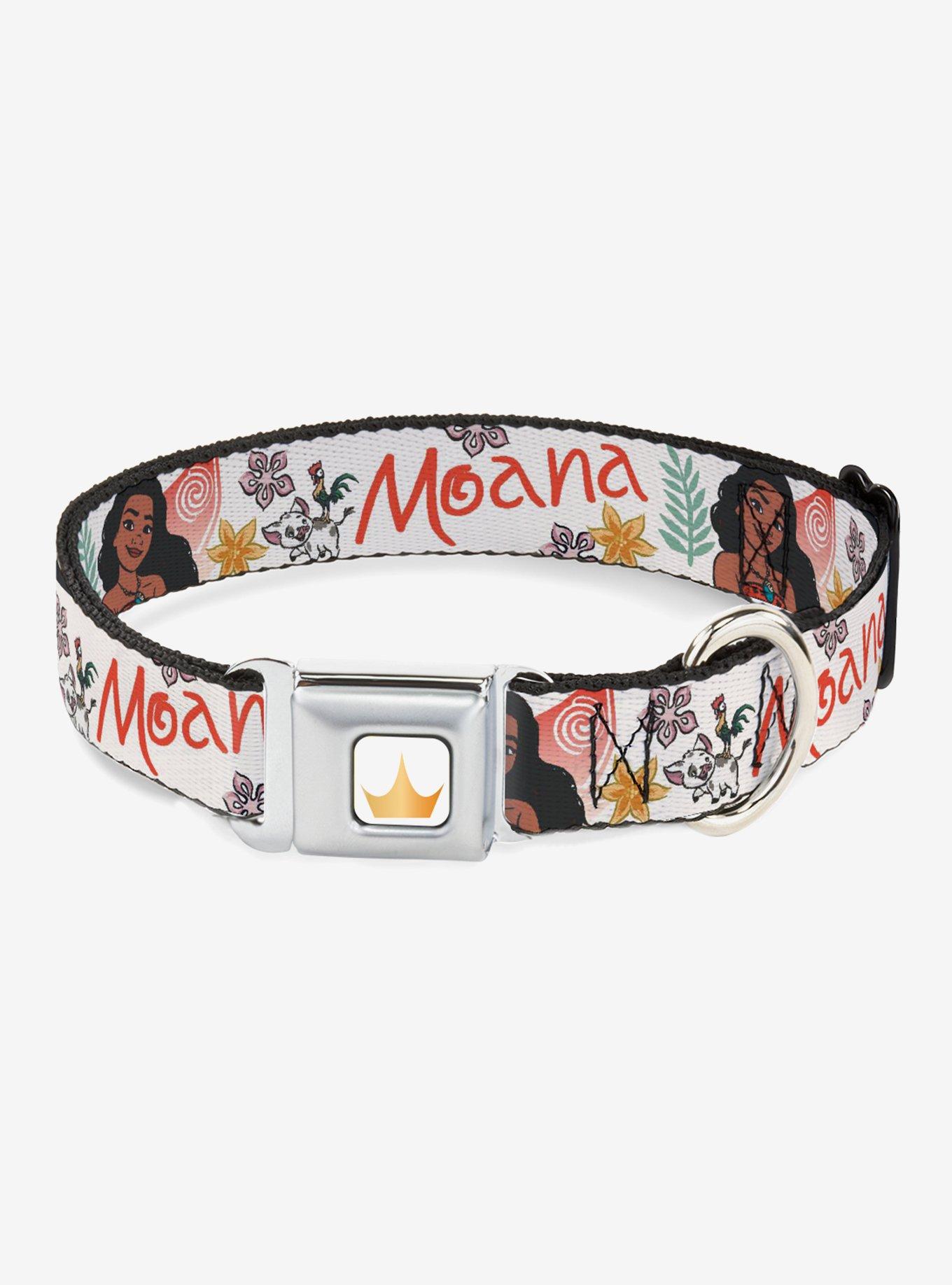 Disney Moana With Pua And Hei Hei Sail Pose Seatbelt Buckle Dog Collar, BEIGE, hi-res