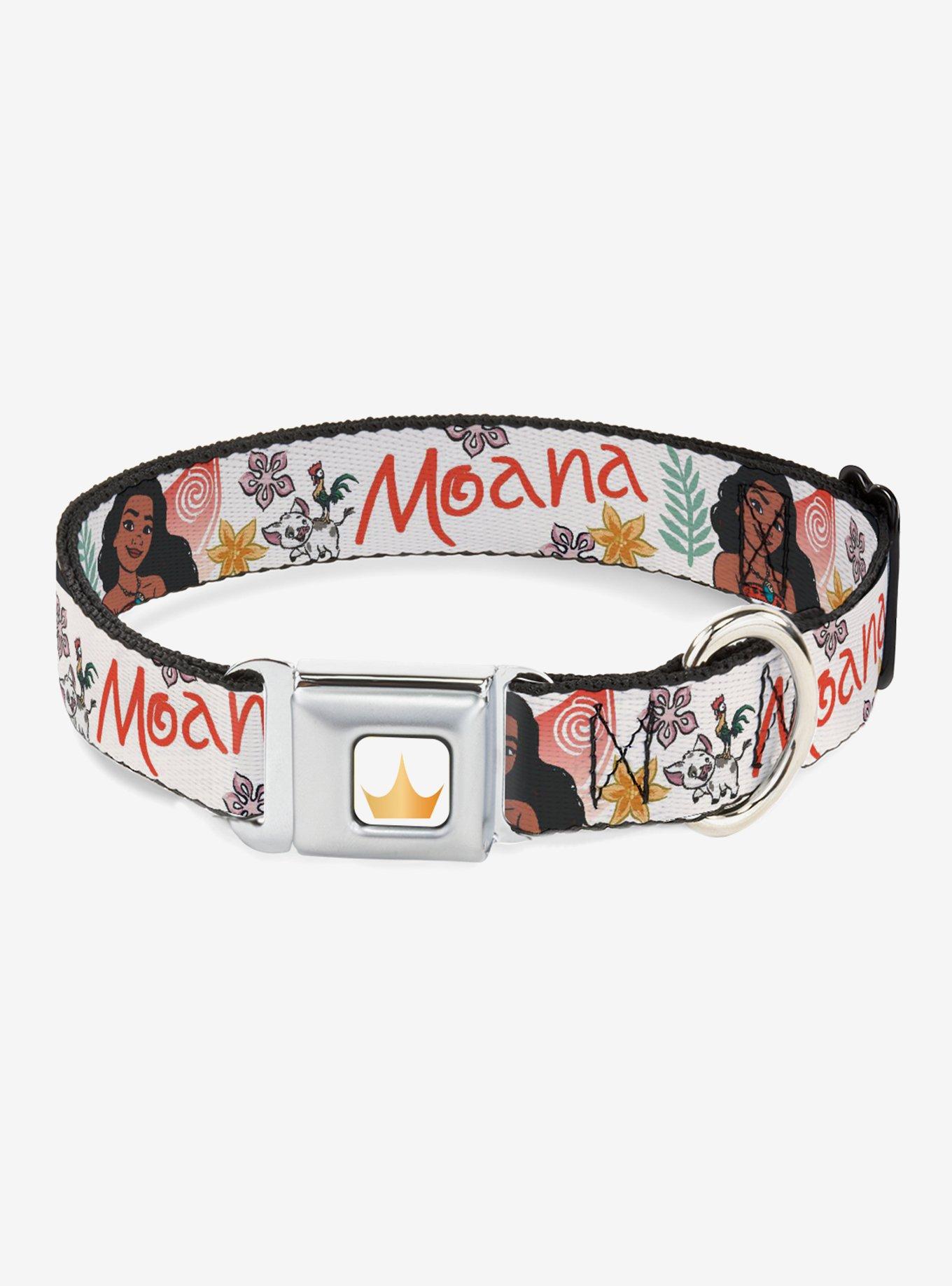 Disney Moana With Pua And Hei Hei Sail Pose Seatbelt Buckle Dog Collar, , hi-res