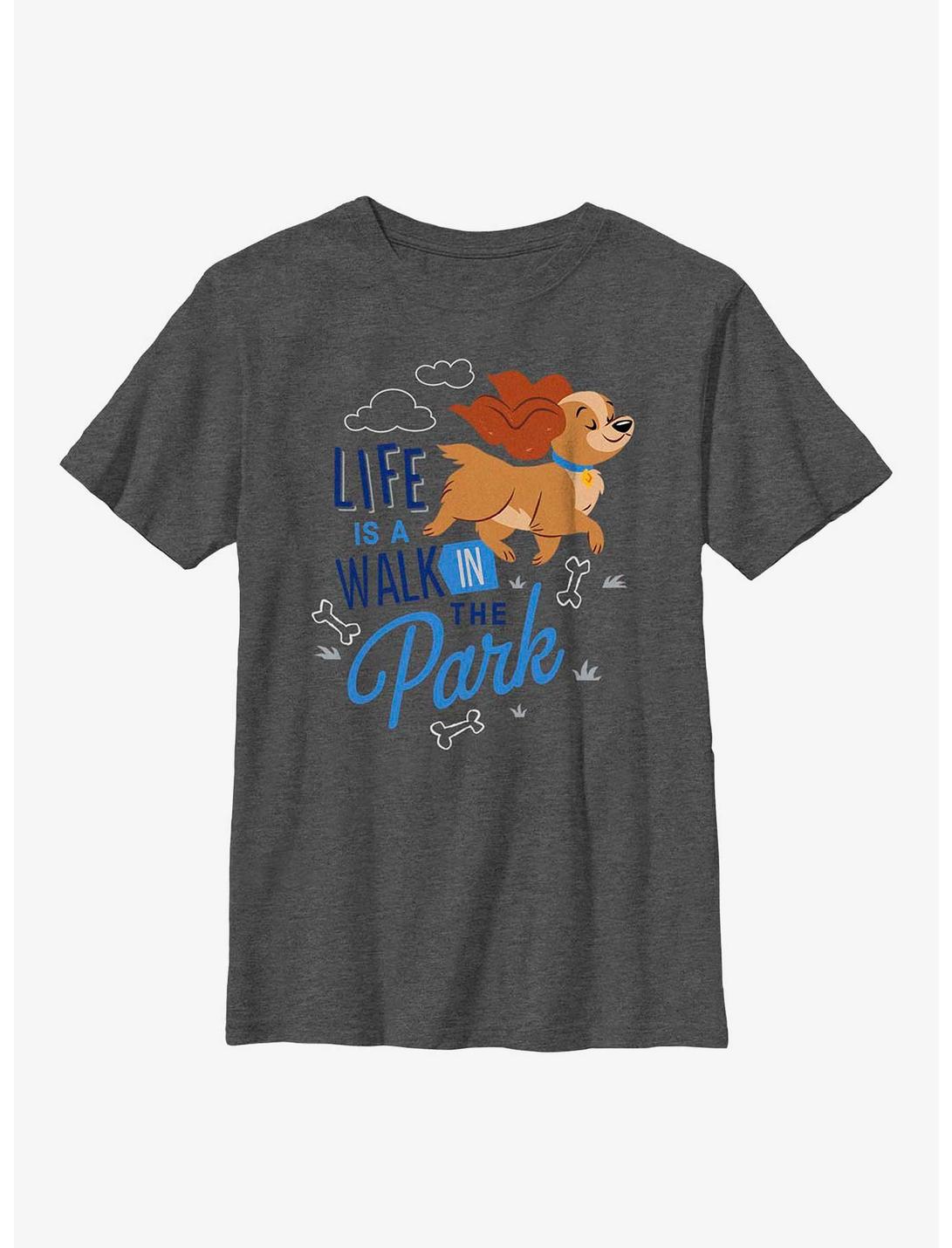 Disney Lady and the Tramp Walk In The Park Youth T-Shirt, CHAR HTR, hi-res