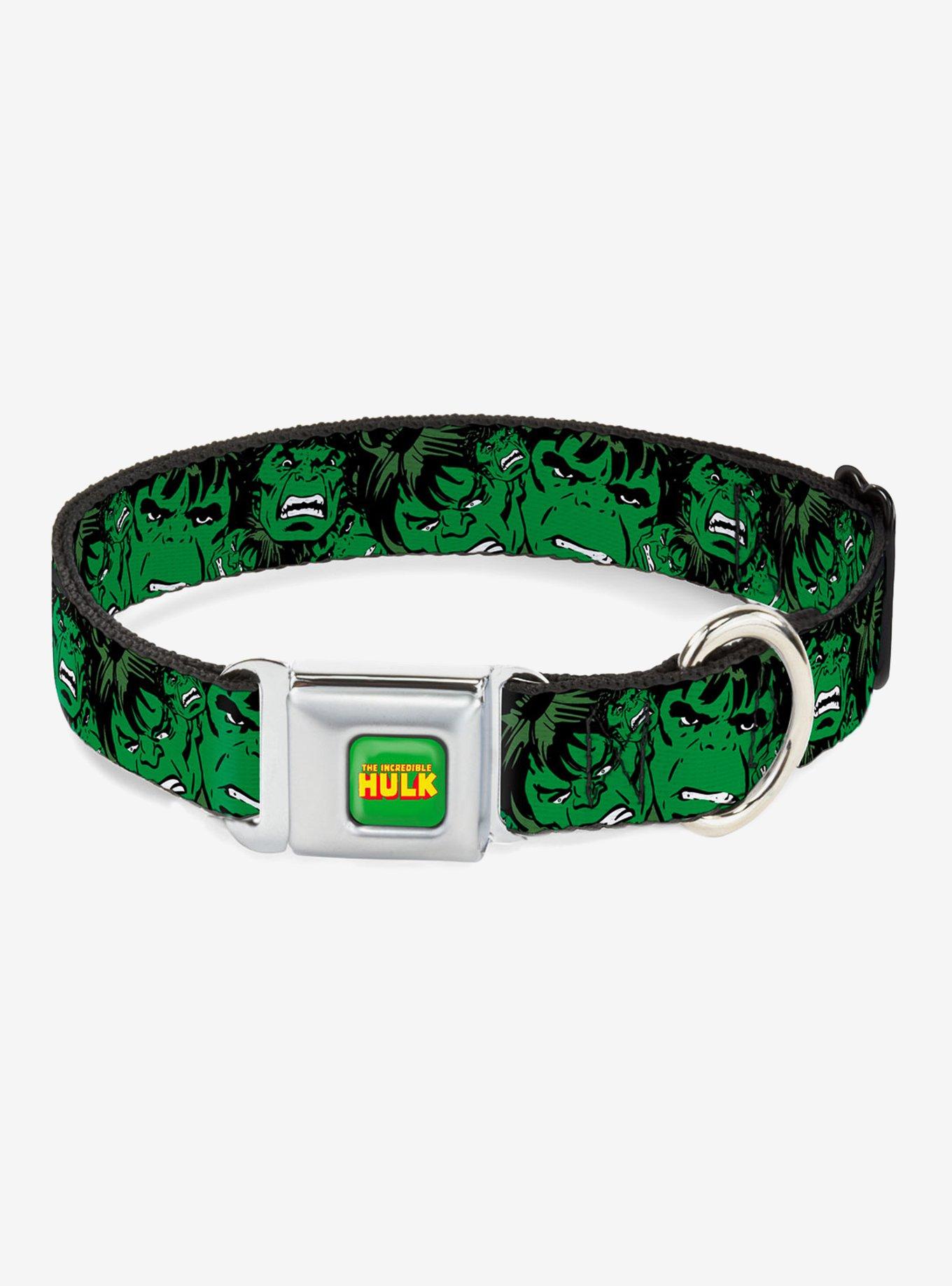 Hulk 2024 dog collar