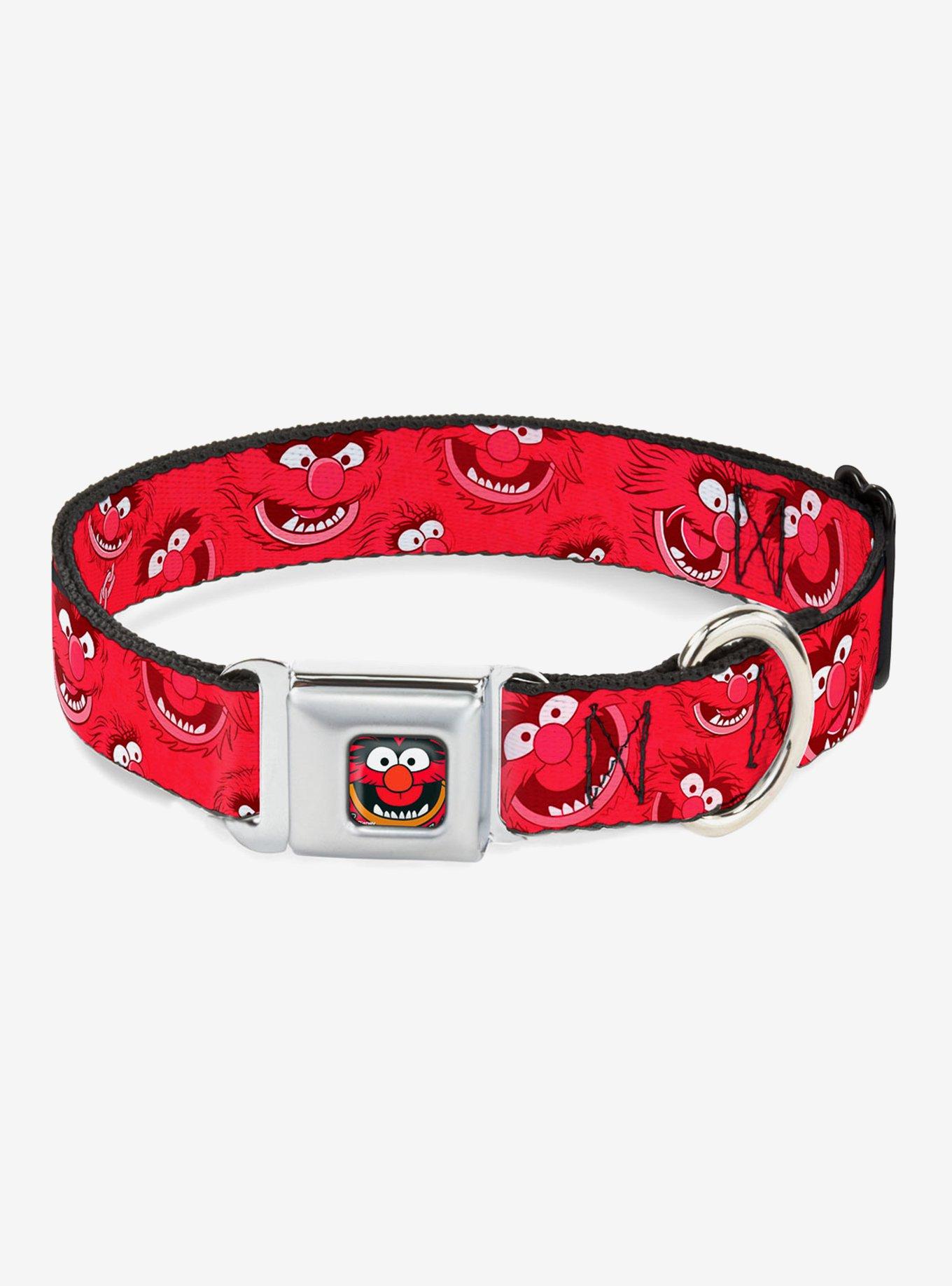 Disney The Muppets Animal Expressions Seatbelt Buckle Dog Collar, RED, hi-res