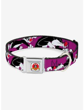 Looney Tunes Sylvester The Cat Seatbelt Buckle Dog Collar, , hi-res