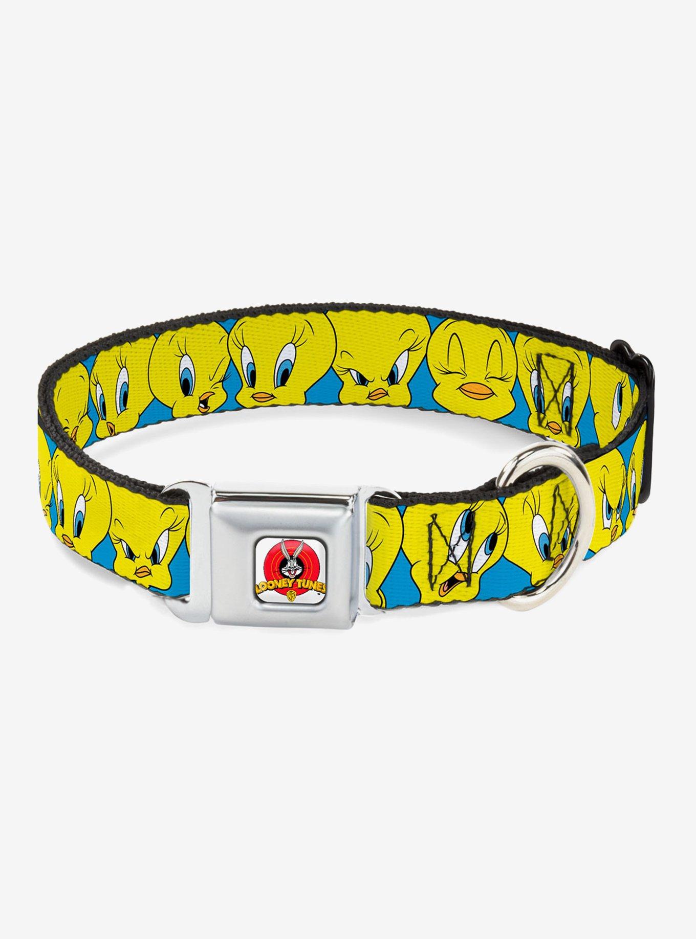 Looney Tunes Tweety Bird Close Up Baby Blue Seatbelt Buckle Dog Collar, , hi-res