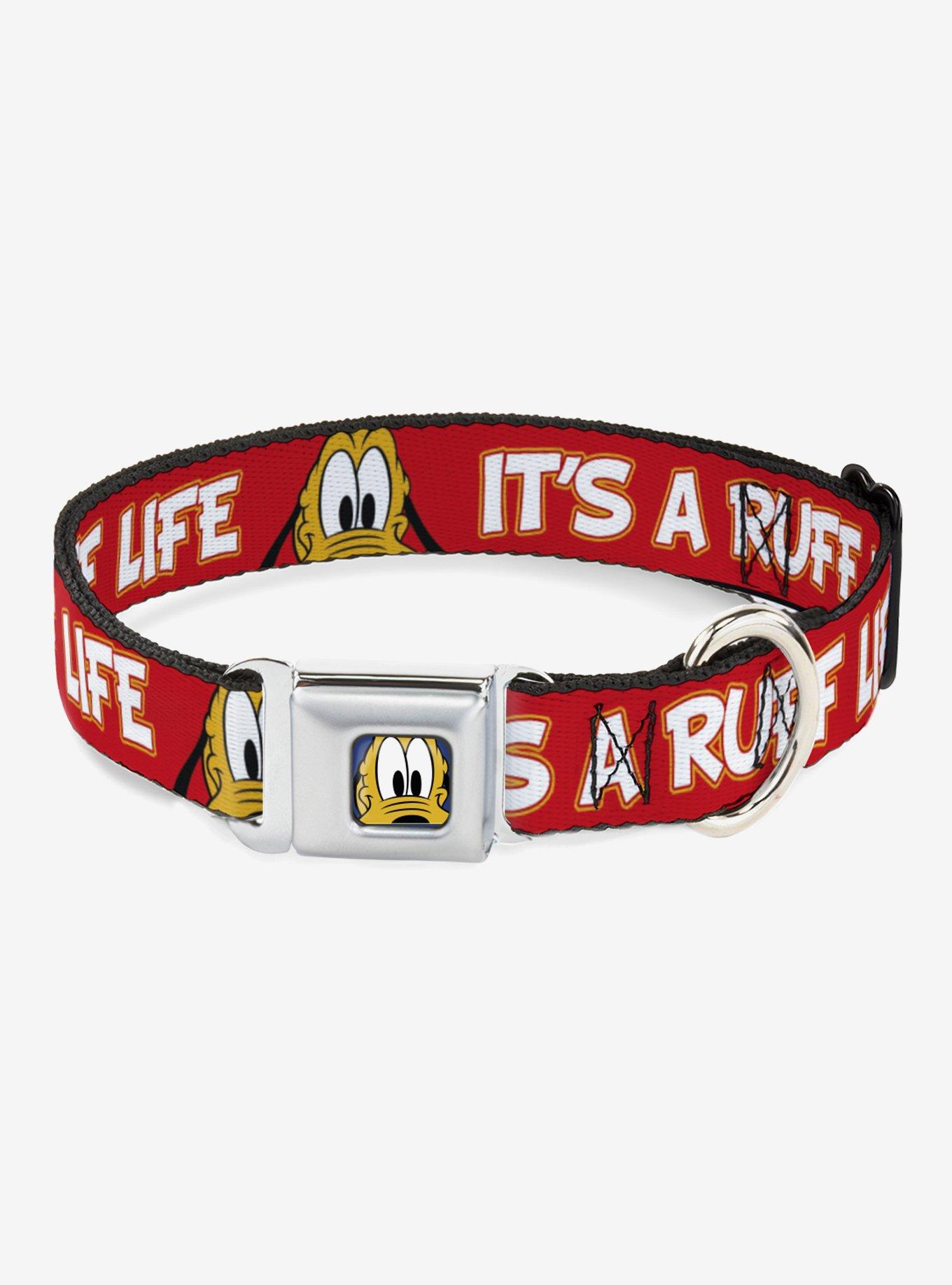 Disney Pluto Its A Ruff Life Seatbelt Buckle Dog Collar, , hi-res