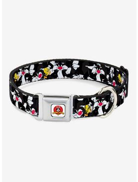 Looney Tunes Sylvester And Tweety Scattered Charcoal Seatbelt Buckle Dog Collar, , hi-res