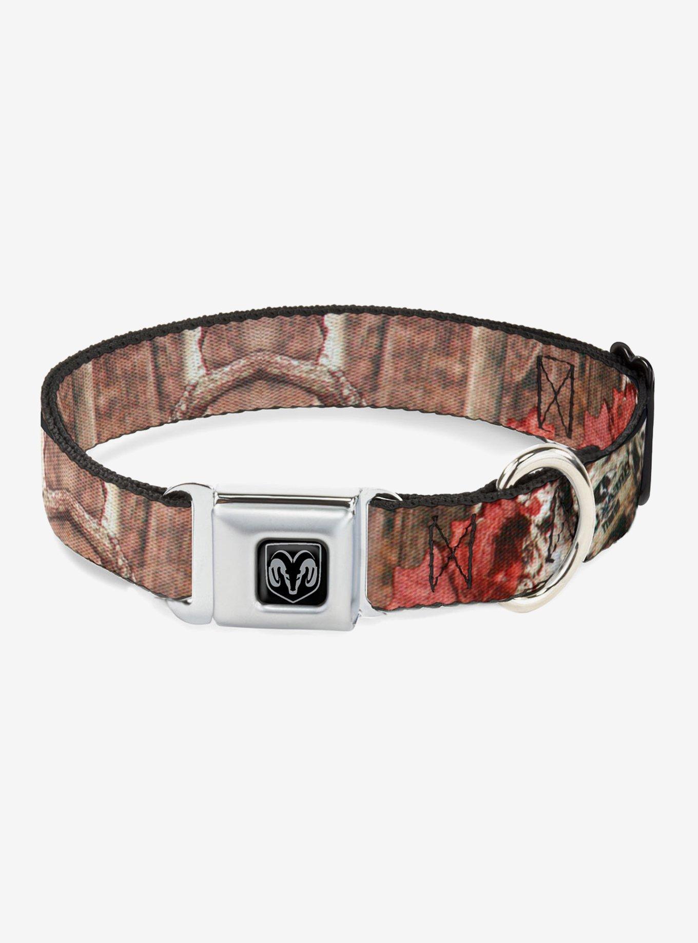 Mossy Oak Infinity Seatbelt Buckle Dog Collar, MULTICOLOR, hi-res