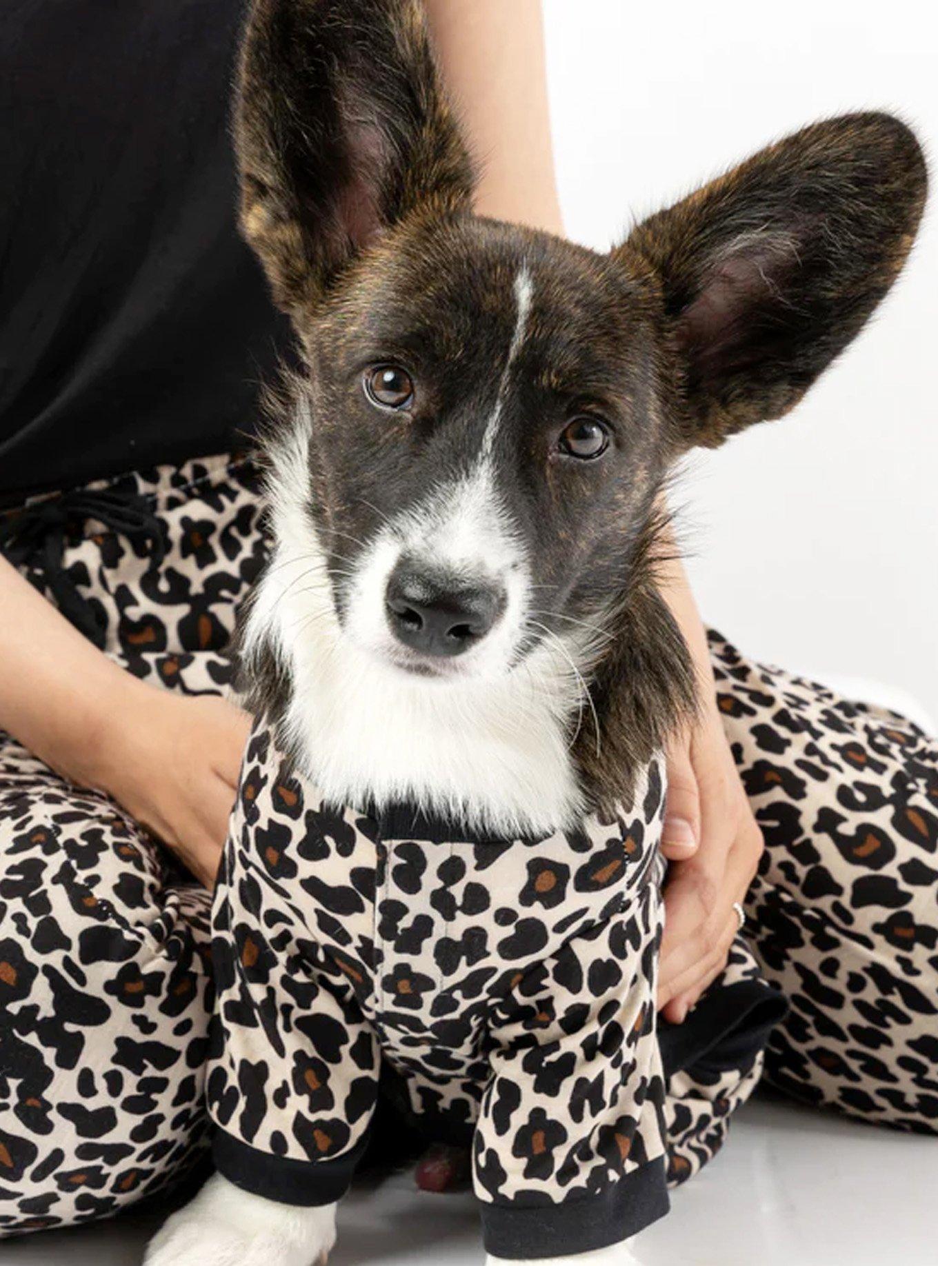 Matching Leopard Human & Dog Pajama, , hi-res