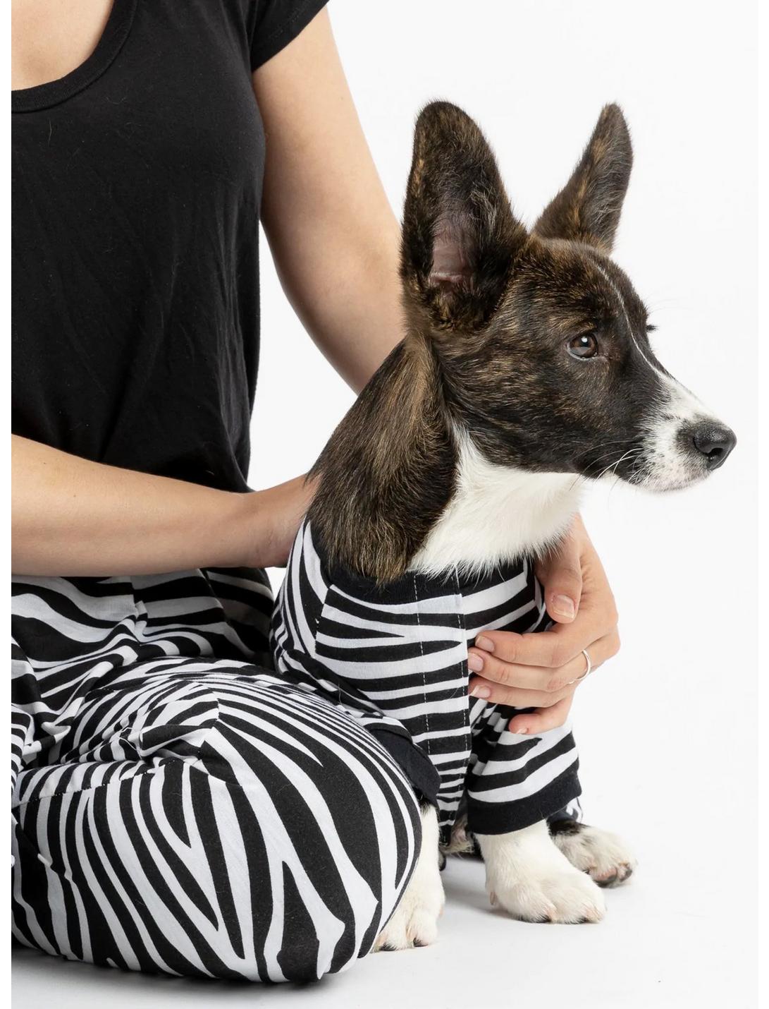 Matching Zebra Human & Dog Pajama, ANIMAL, hi-res