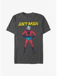Marvel Ant-Man Retro Ant T-Shirt, CHARCOAL, hi-res