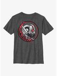 Marvel Ant-Man and the Wasp Particle Ant-Man Badge Youth T-Shirt, CHAR HTR, hi-res