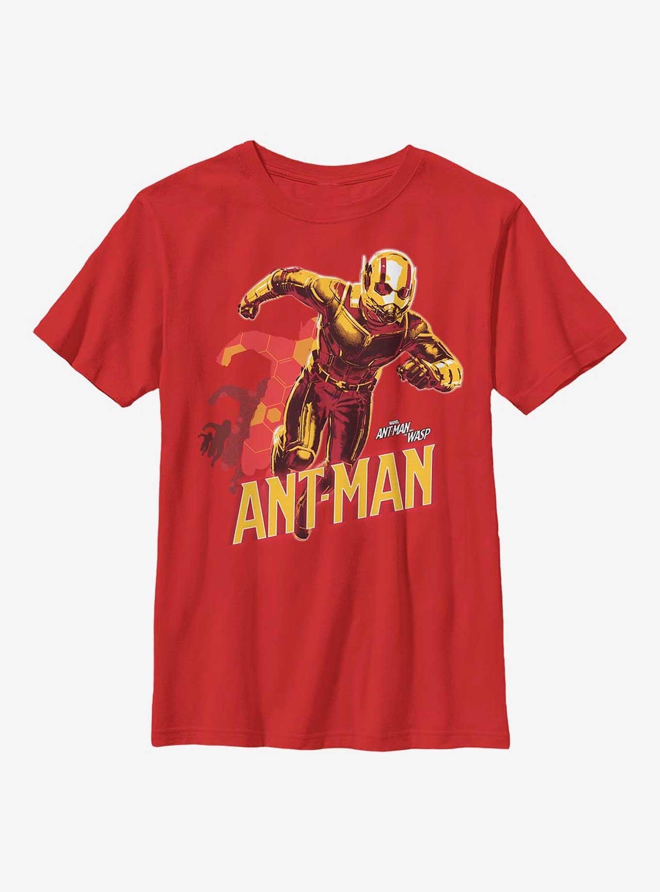 Marvel Ant-Man and the Wasp Transform Youth T-Shirt, , hi-res