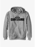Marvel Ant-Man and the Wasp: Quantumania Logo Youth Hoodie, ATH HTR, hi-res