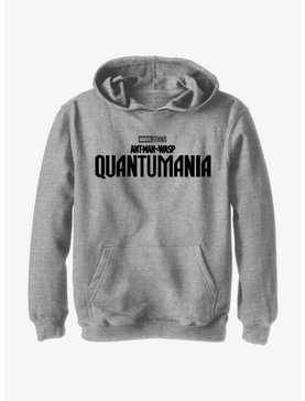 Marvel Ant-Man and the Wasp: Quantumania Logo Youth Hoodie, , hi-res