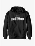 Marvel Ant-Man and the Wasp: Quantumania Logo Youth Hoodie, BLACK, hi-res
