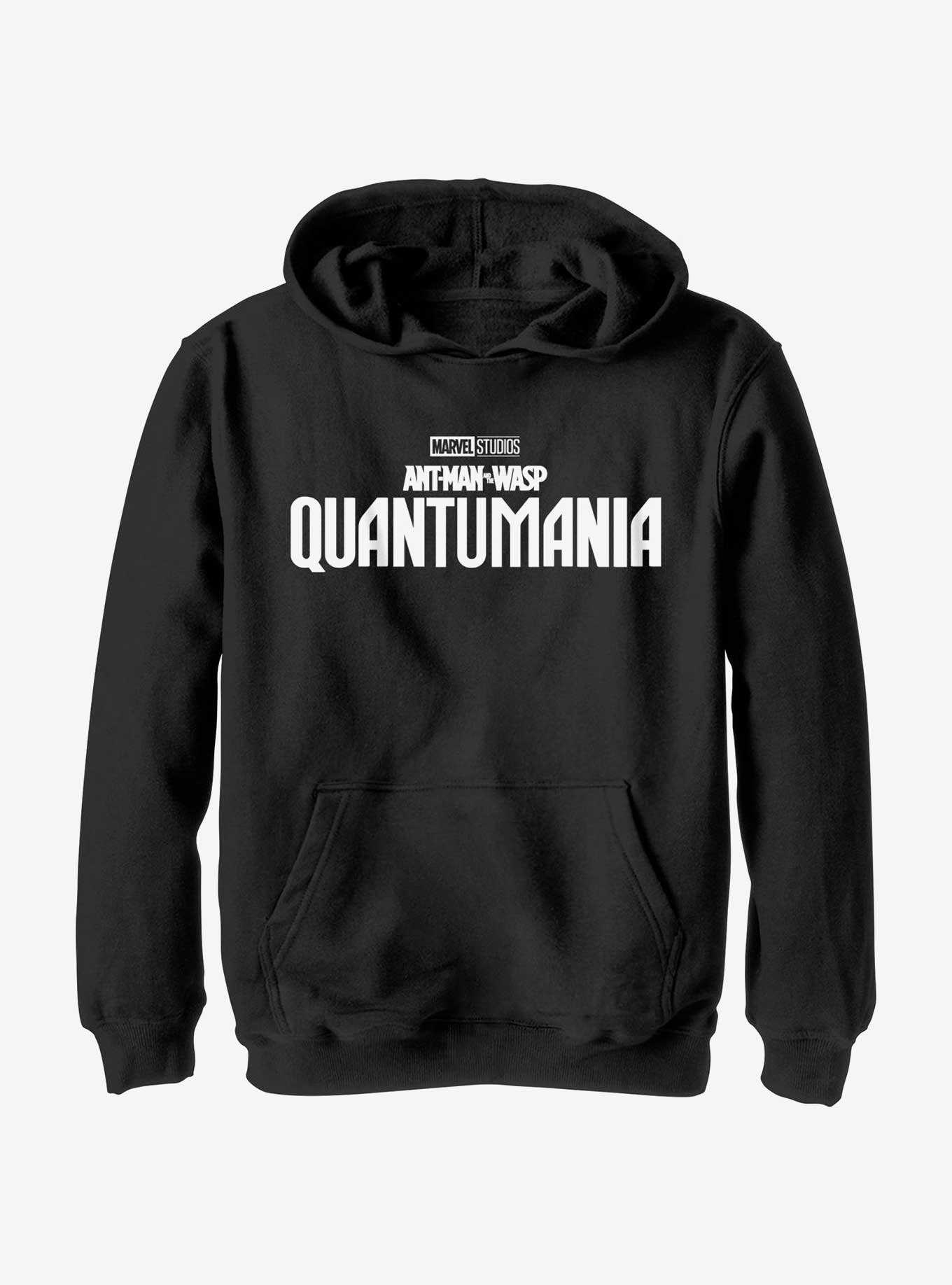 Marvel Ant-Man and the Wasp: Quantumania Logo Youth Hoodie, , hi-res