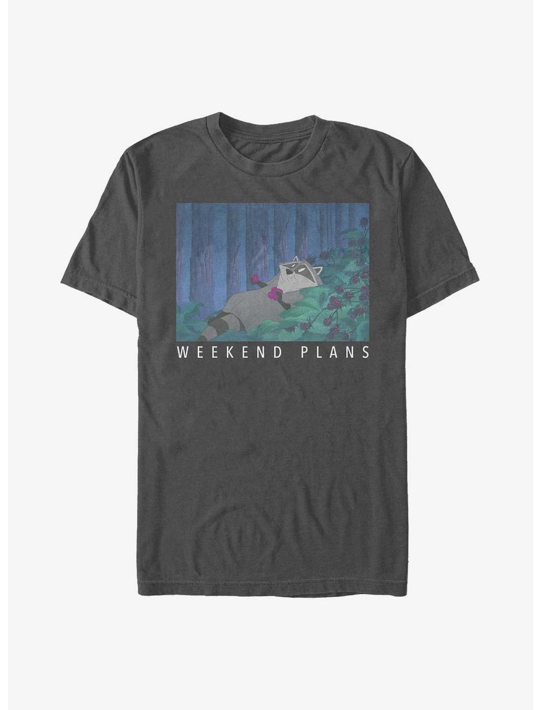 Disney Pocahontas Meeko Weekend Plans T-Shirt, CHARCOAL, hi-res