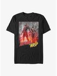 Marvel Ant-Man And The Wasp Hero Pose T-Shirt, BLACK, hi-res