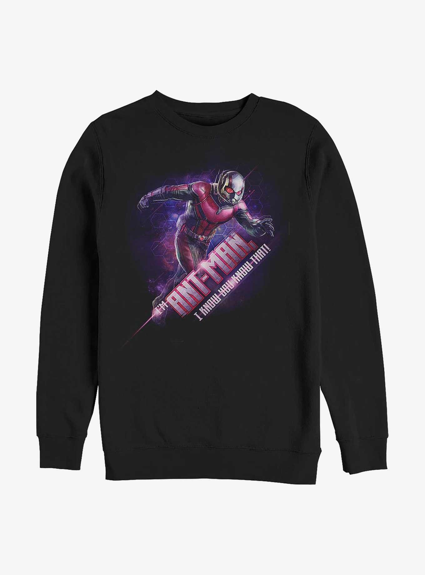 Marvel Ant-Man I Know You Know That Sweatshirt, BLACK, hi-res