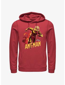 Marvel Ant-Man and the Wasp: Quantumania Ant-Man Transform Hoodie, , hi-res